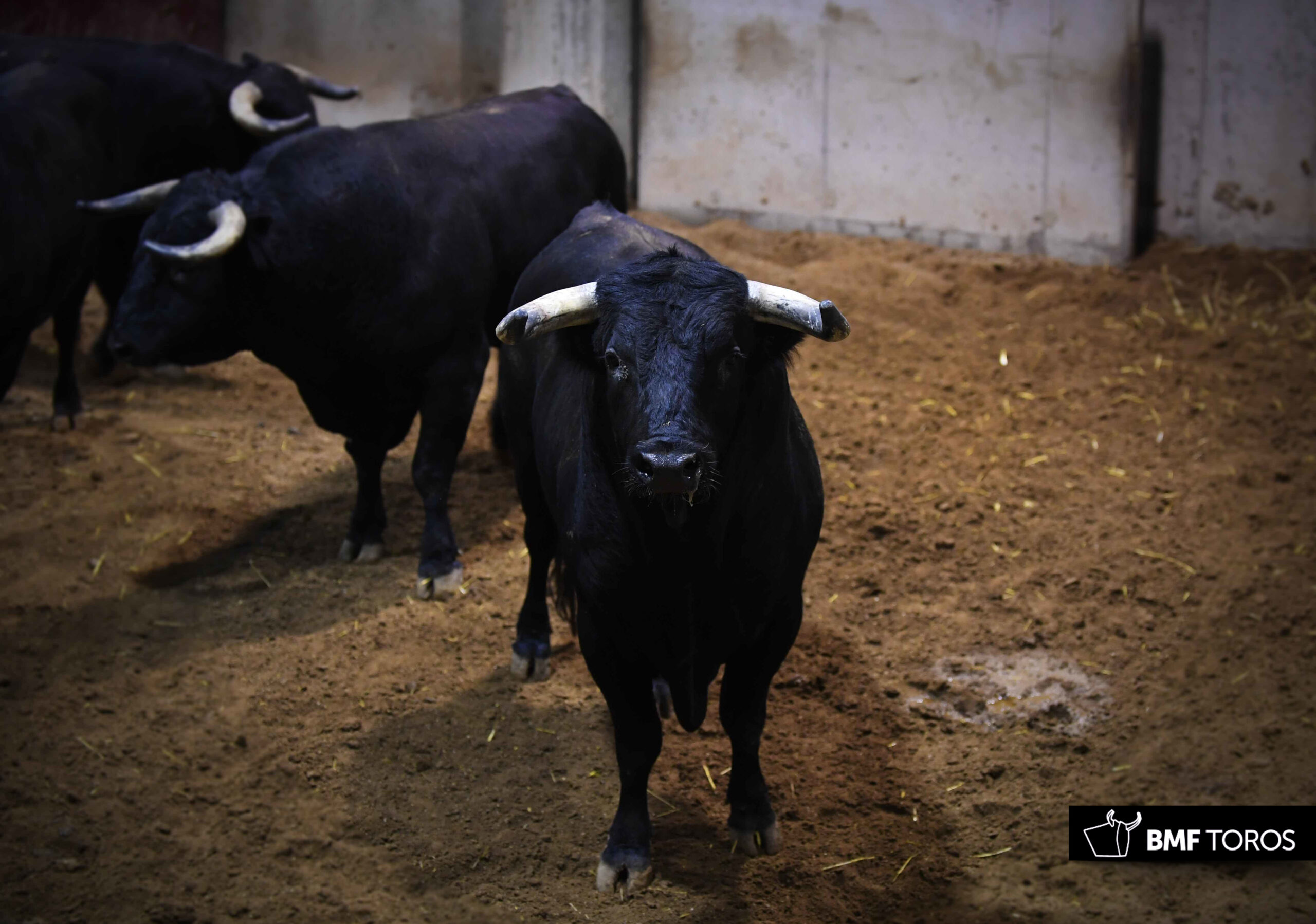 Sorteo, Logroño 22 de septiembre de 2018