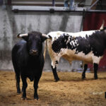 Sorteo, Logroño 22 de septiembre de 2018