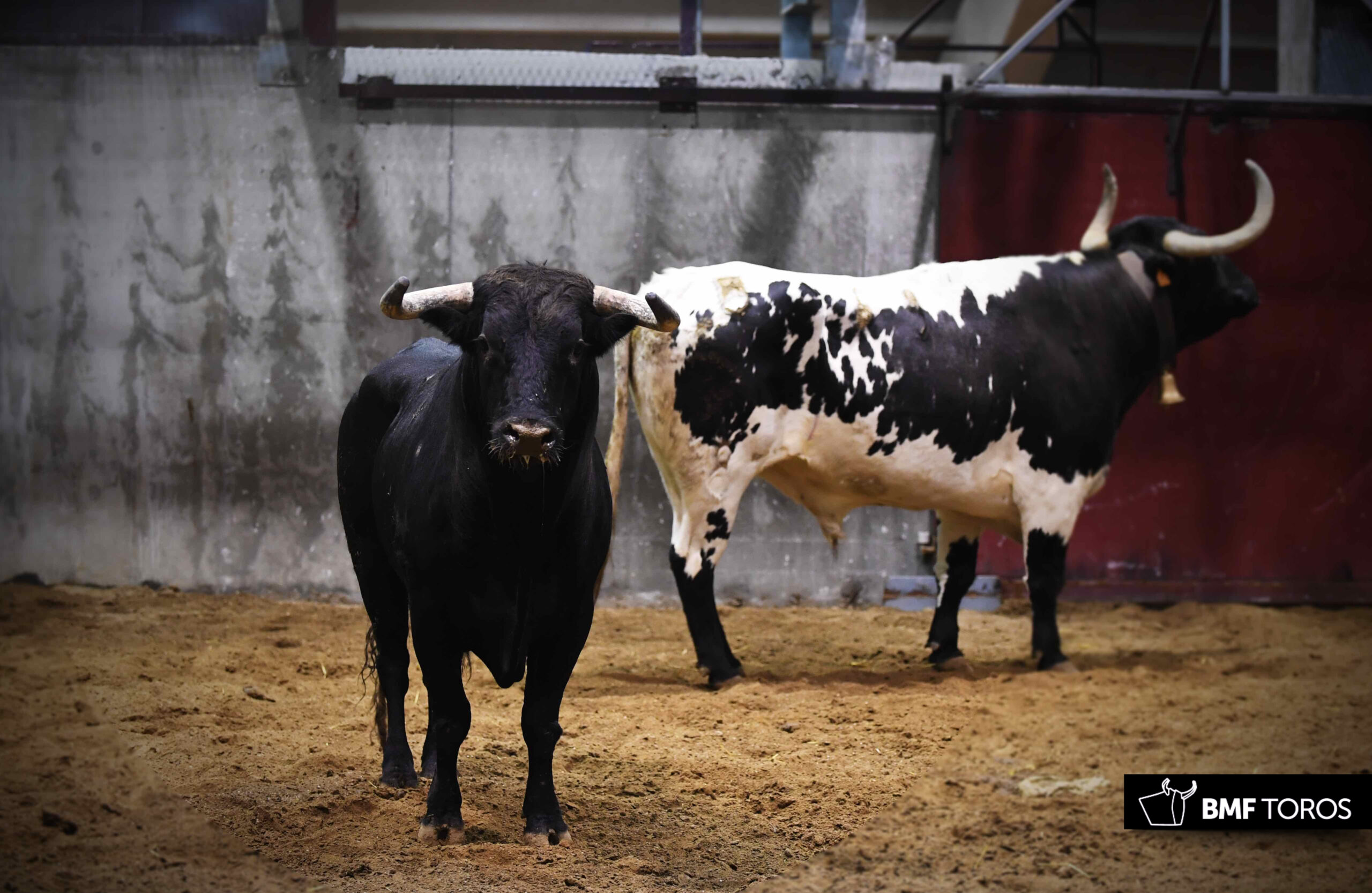 Sorteo, Logroño 22 de septiembre de 2018