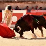 Nimes, 15 de septiembre de 2018. Matinal