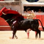 Nimes, 15 de septiembre de 2018. Matinal