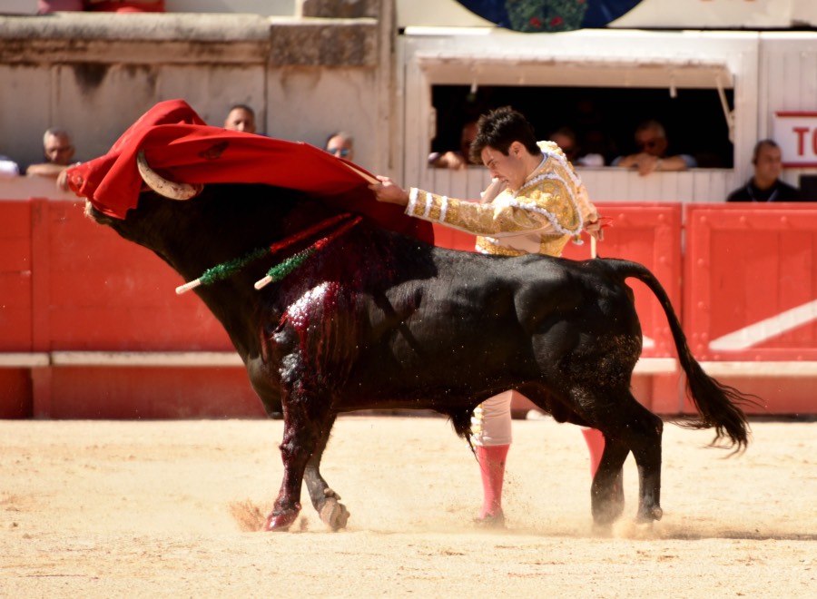 Nimes, 15 de septiembre de 2018. Matinal