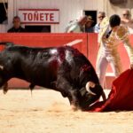 Nimes, 15 de septiembre de 2018. Matinal
