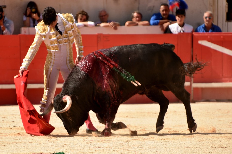 Nimes, 15 de septiembre de 2018. Matinal