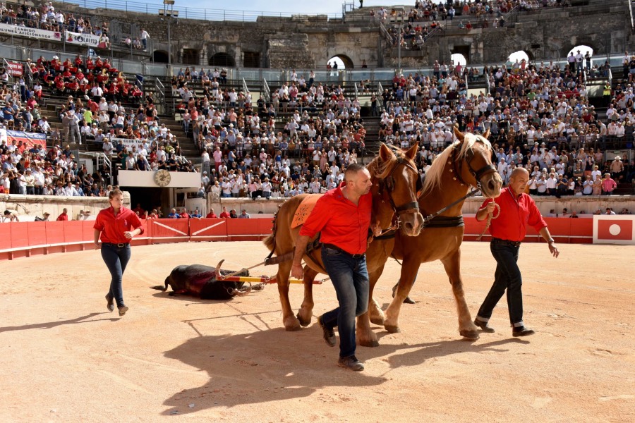 Nimes, 15 de septiembre de 2018. Matinal