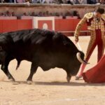 Nimes, 15 de septiembre de 2018. Matinal