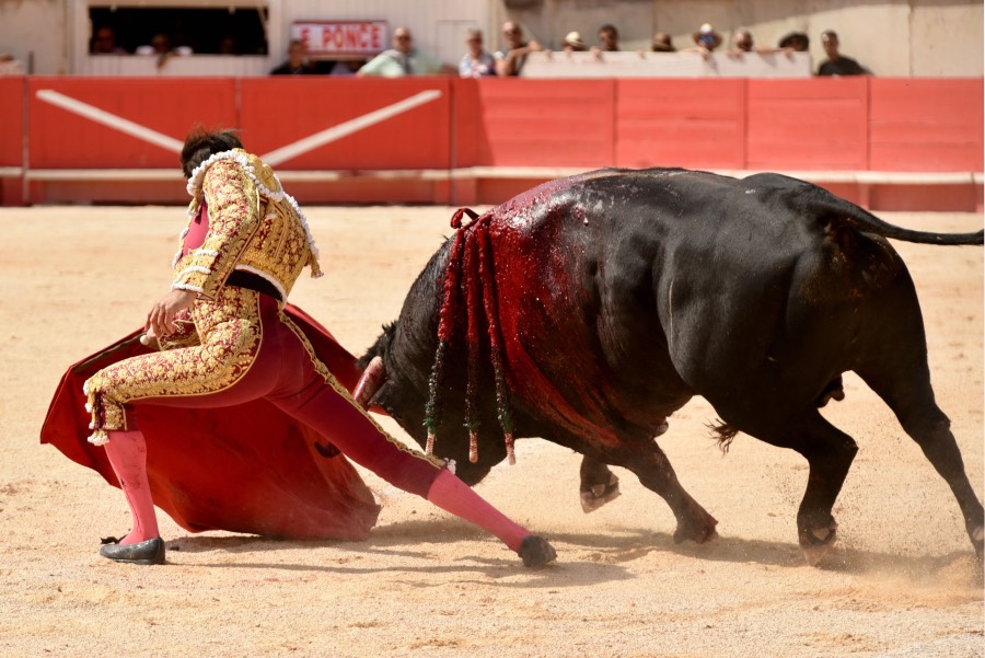 Nimes, 15 de septiembre de 2018. Matinal