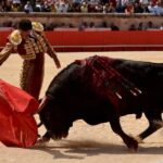 Nimes, 15 de septiembre de 2018. Matinal