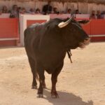 Nimes, 15 de septiembre de 2018. Matinal