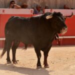 Nimes, 15 de septiembre de 2018. Matinal