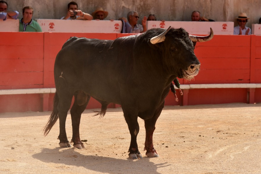 Nimes, 15 de septiembre de 2018. Matinal