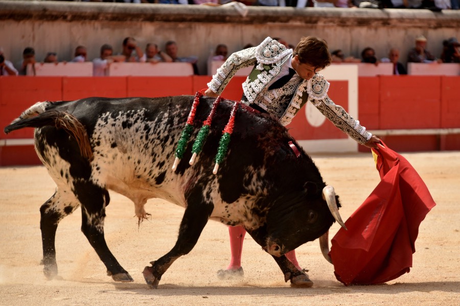 Nimes, 15 de septiembre de 2018. Matinal