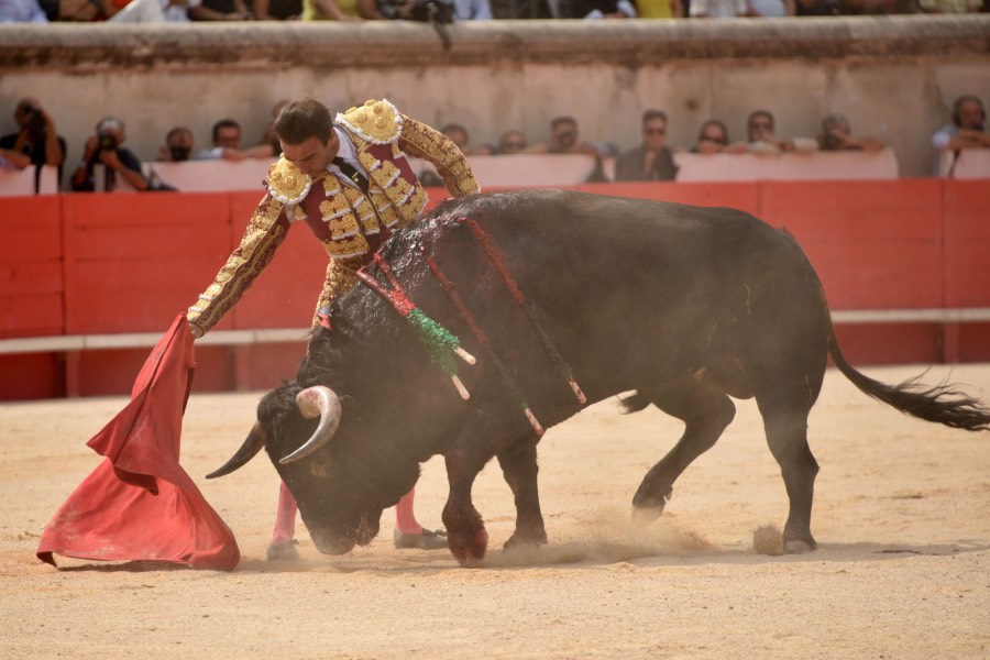 Nimes, 15 de septiembre de 2018. Matinal