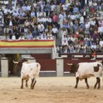 Madrid - Corrida de toros - Viernes 28 de septiembre de 2018