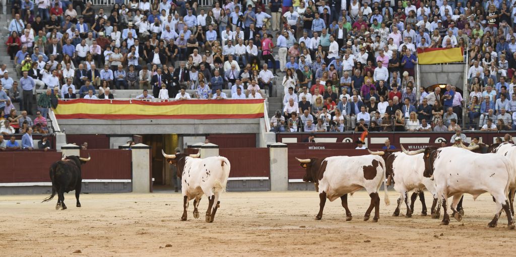 Madrid - Corrida de toros - Viernes 28 de septiembre de 2018