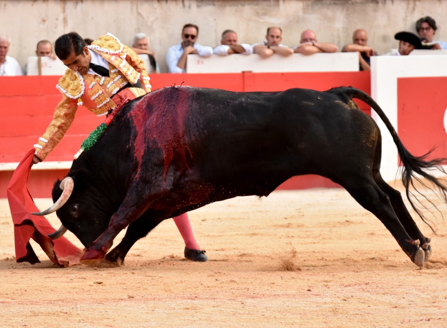 Nimes, 15 de septiembre de 2018. Tarde