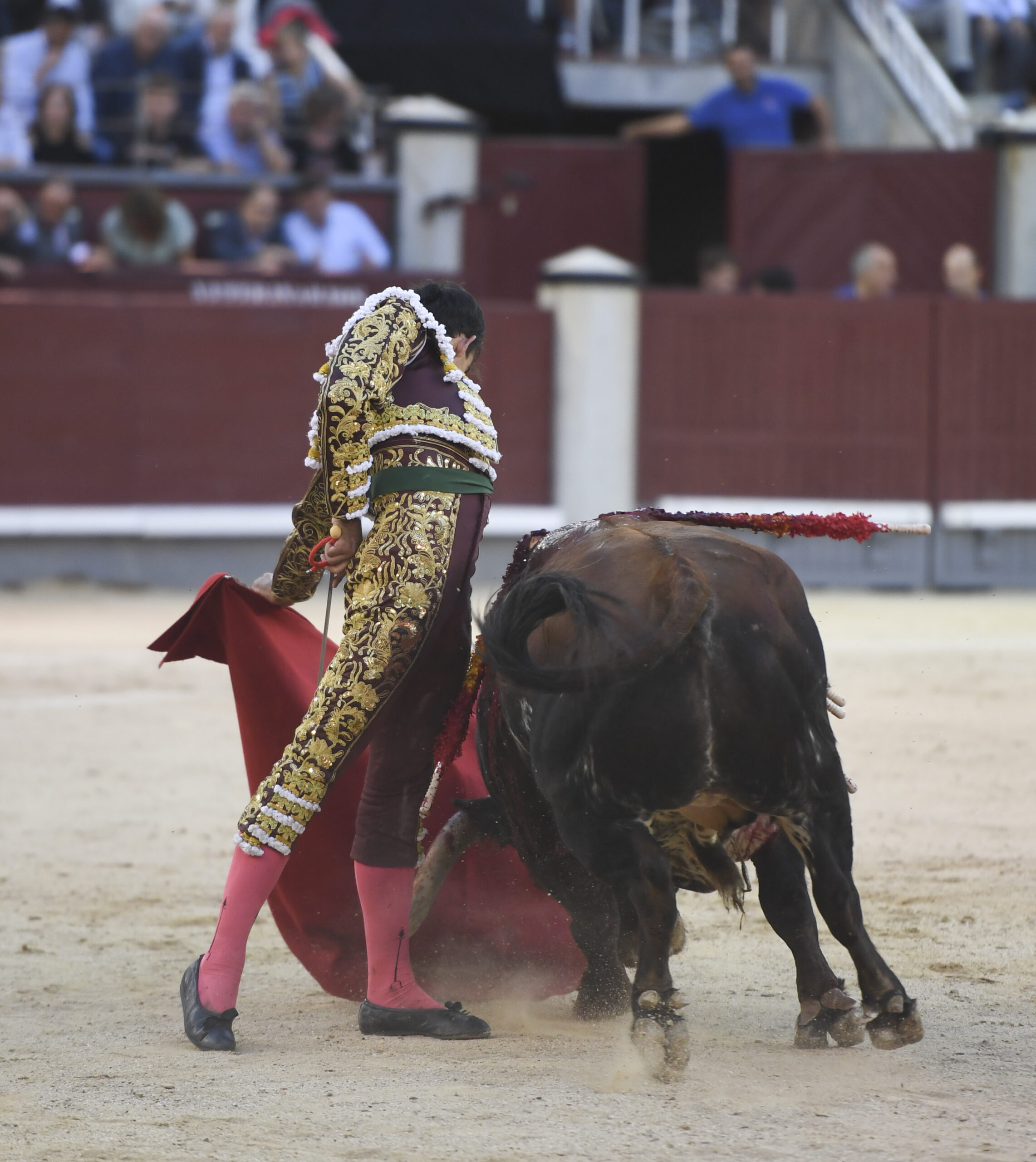 Madrid - Corrida de toros - Viernes 28 de septiembre de 2018