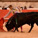 Nimes, 15 de septiembre de 2018. Tarde