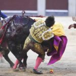 Madrid - Corrida de toros - Viernes 28 de septiembre de 2018