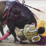Madrid - Corrida de toros - Viernes 28 de septiembre de 2018