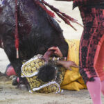 Madrid - Corrida de toros - Viernes 28 de septiembre de 2018