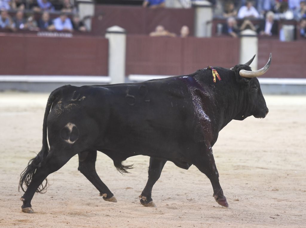 Madrid - Corrida de toros - Viernes 28 de septiembre de 2018