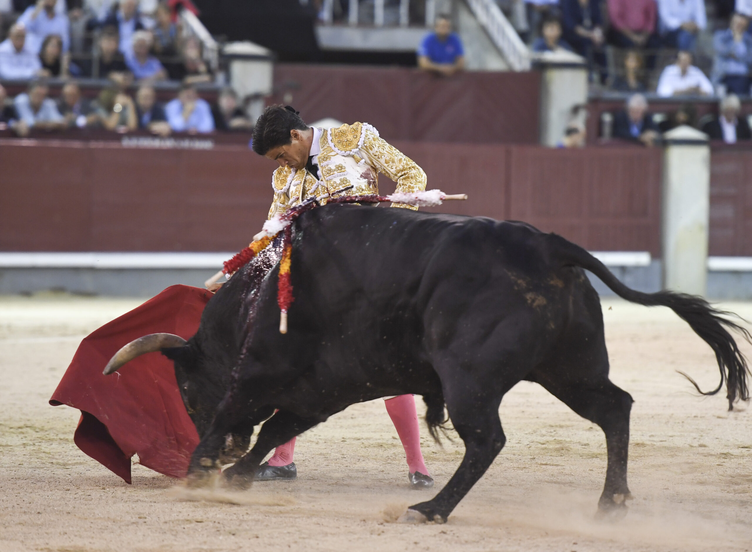 Madrid - Corrida de toros - Viernes 28 de septiembre de 2018