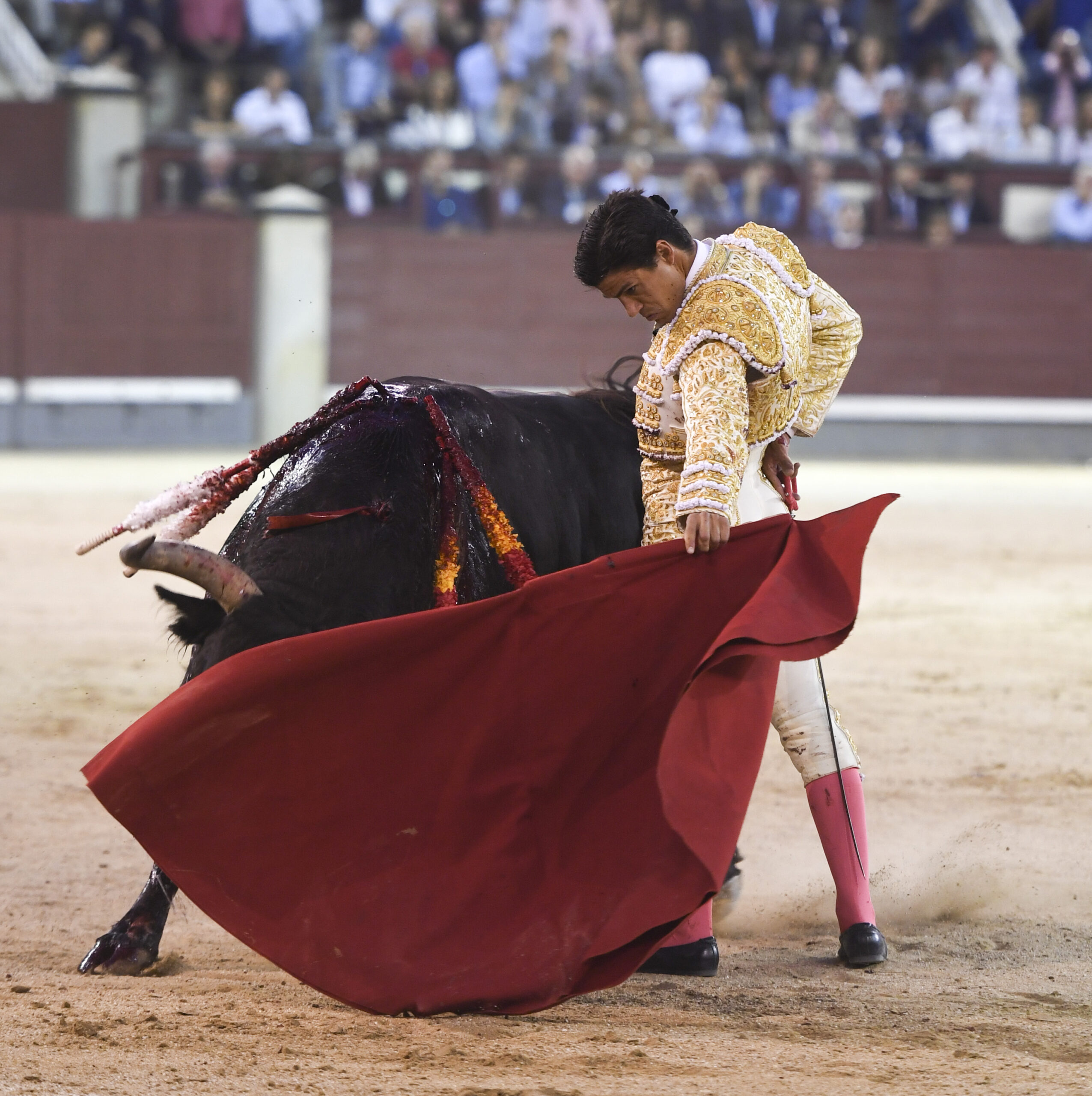 Madrid - Corrida de toros - Viernes 28 de septiembre de 2018