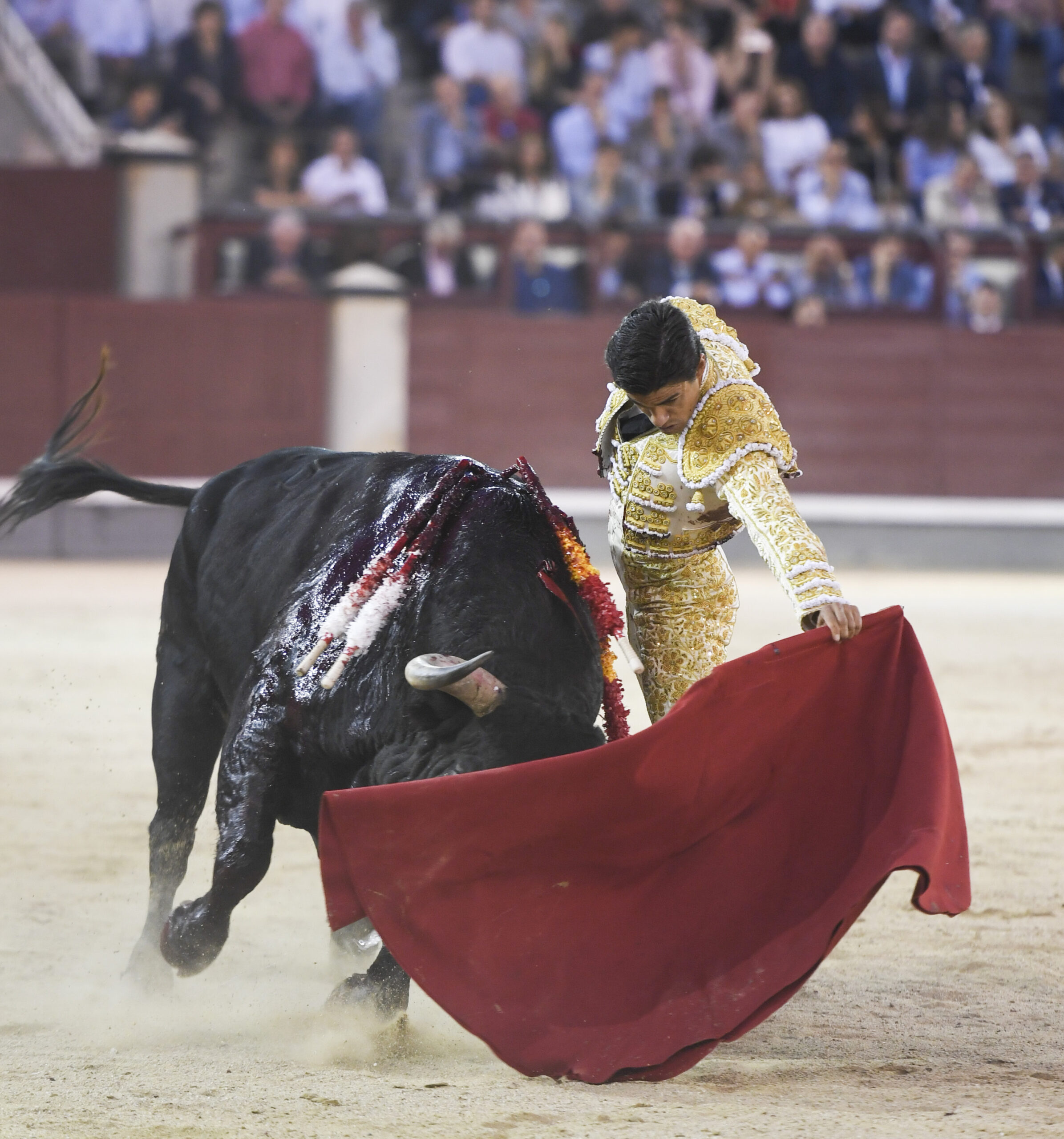 Madrid - Corrida de toros - Viernes 28 de septiembre de 2018