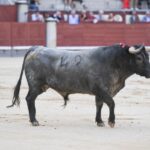 Madrid, 16 de septiembre de 2018