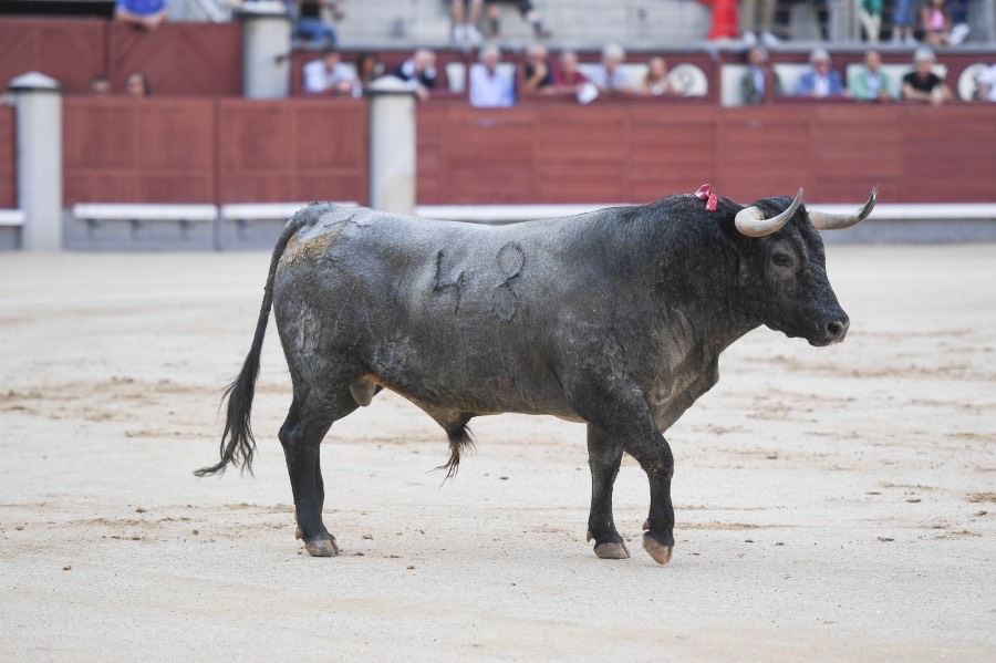Madrid, 16 de septiembre de 2018