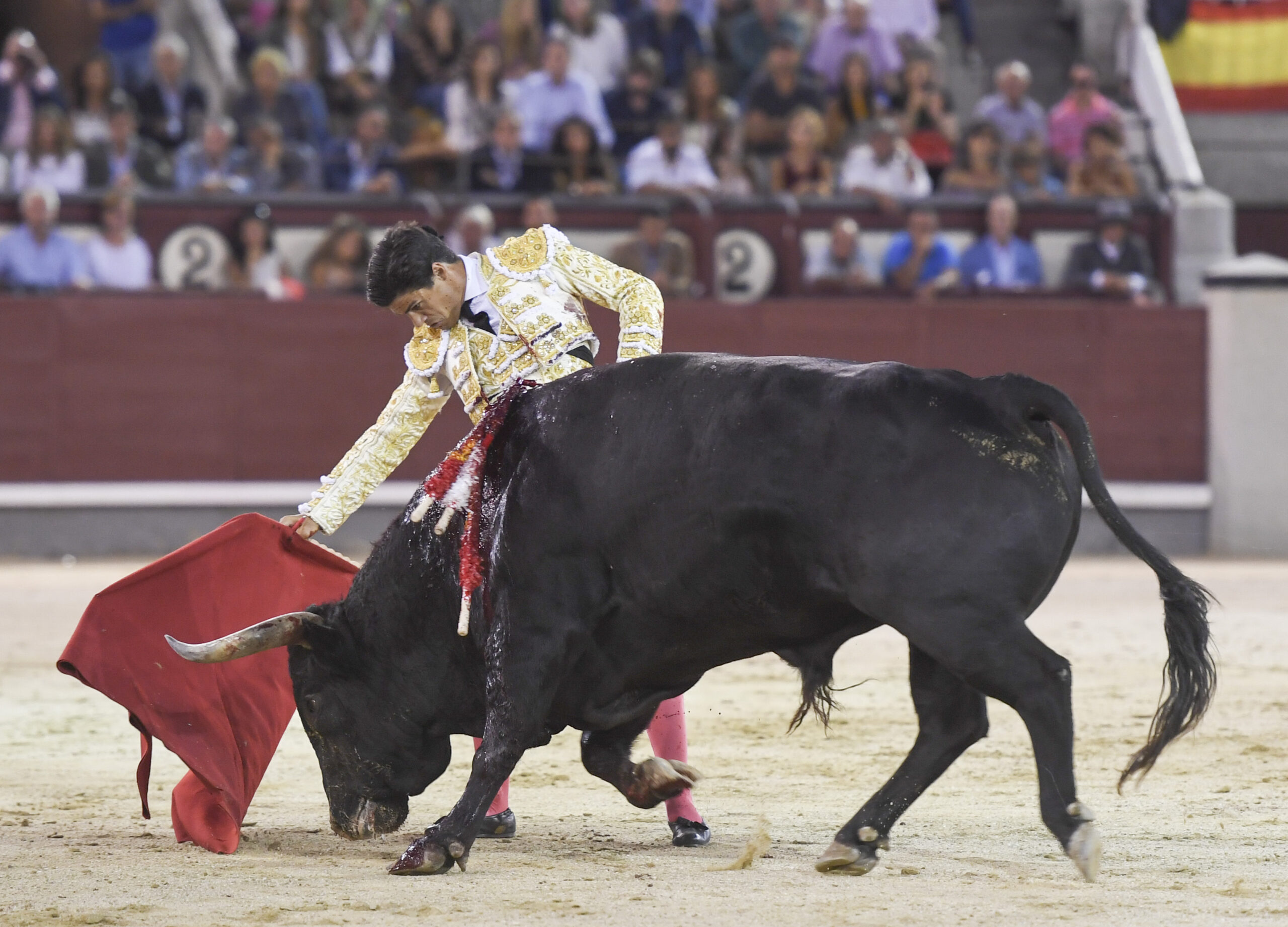 Madrid - Corrida de toros - Viernes 28 de septiembre de 2018