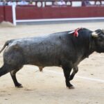 Madrid, 16 de septiembre de 2018