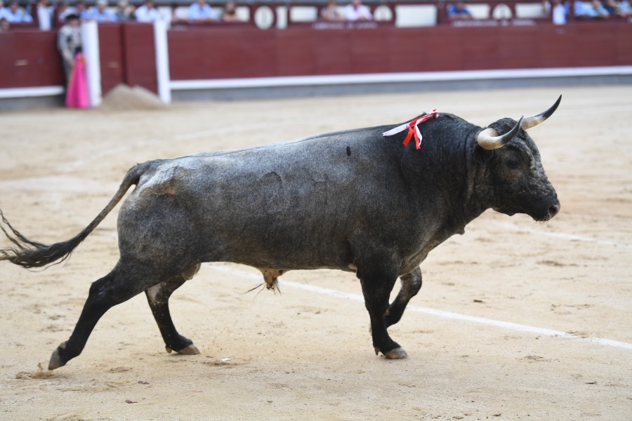 Madrid, 16 de septiembre de 2018