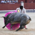 Madrid, 16 de septiembre de 2018