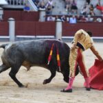 Madrid, 16 de septiembre de 2018