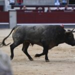 Madrid, 16 de septiembre de 2018