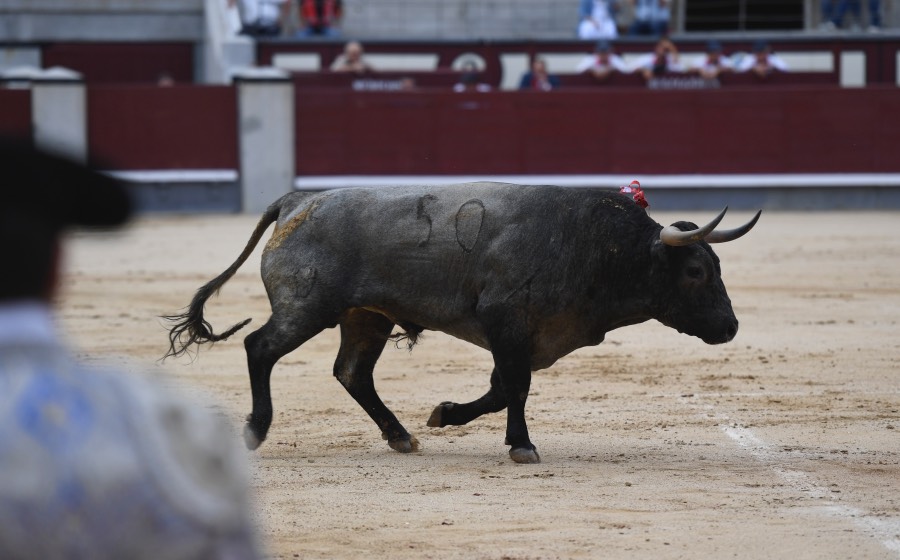 Madrid, 16 de septiembre de 2018