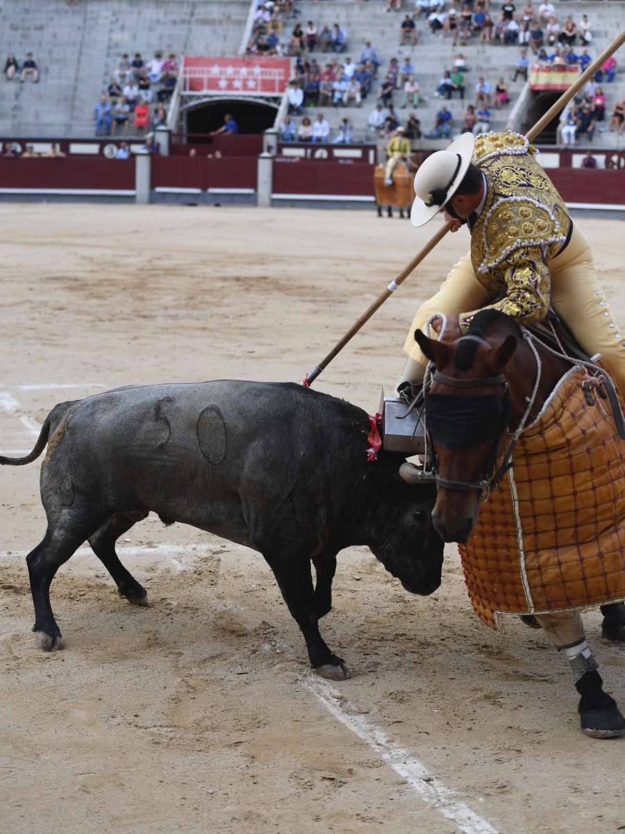 Madrid, 16 de septiembre de 2018