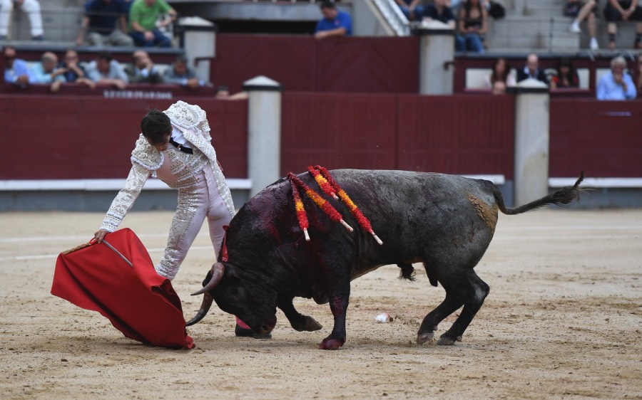 Madrid, 16 de septiembre de 2018