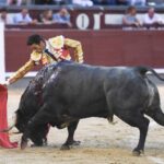 Madrid, 16 de septiembre de 2018