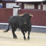 Madrid, 16 de septiembre de 2018