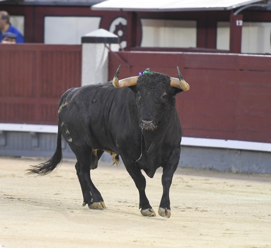 Madrid, 16 de septiembre de 2018