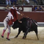 Madrid, 16 de septiembre de 2018