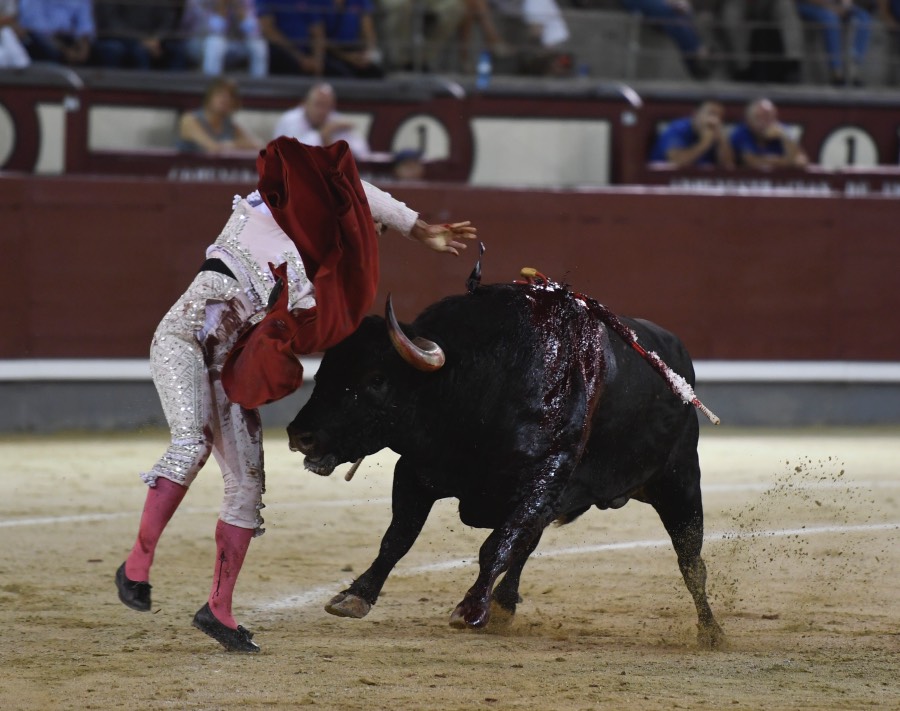 Madrid, 16 de septiembre de 2018