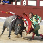 Madrid- Novillada picada - Domingo 3 de septiembre de 2018