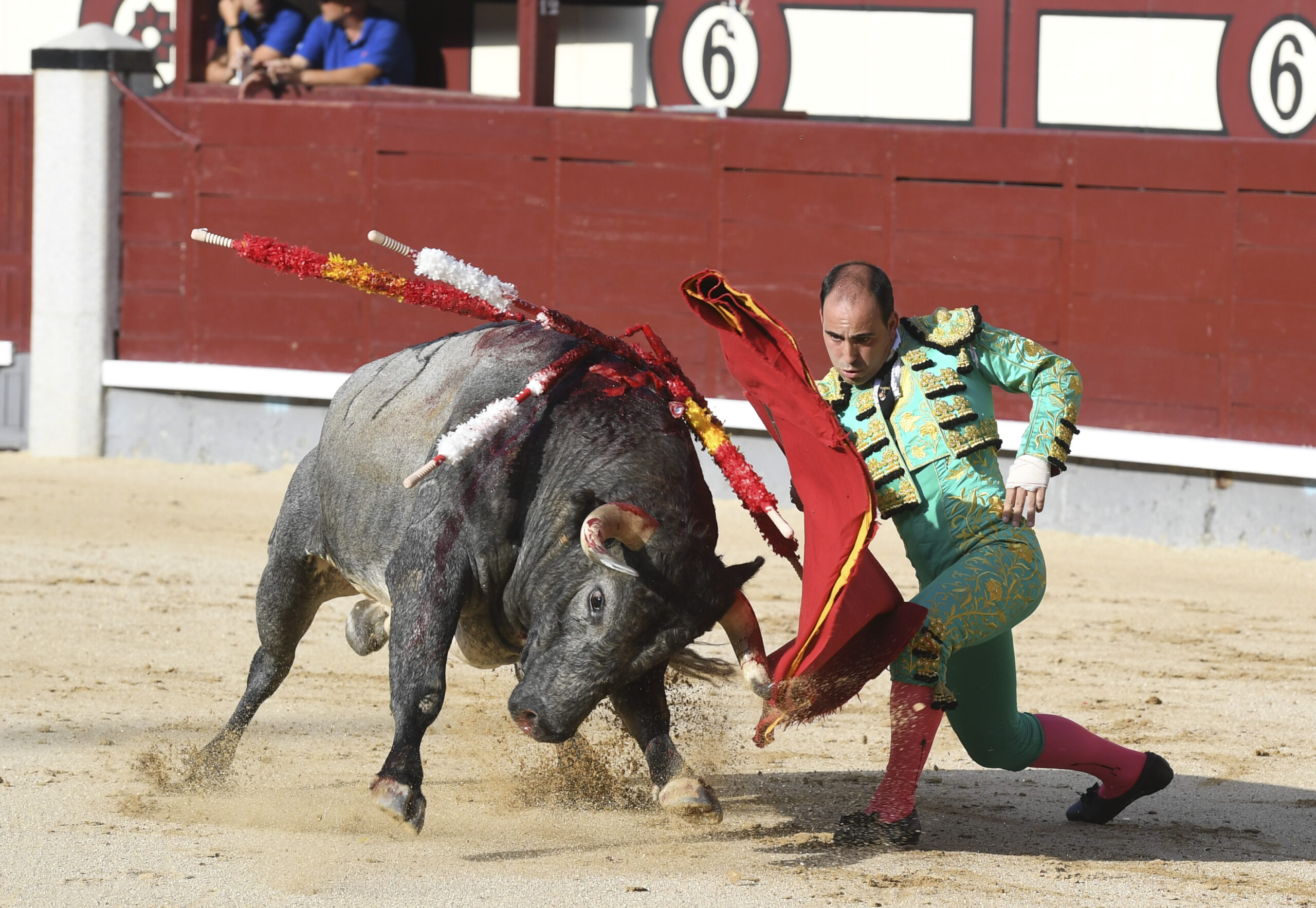 Madrid- Novillada picada - Domingo 3 de septiembre de 2018
