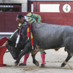 Madrid- Novillada picada - Domingo 3 de septiembre de 2018