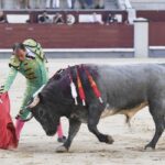 Madrid- Novillada picada - Domingo 3 de septiembre de 2018