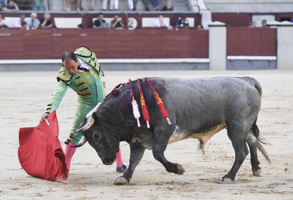 Madrid- Novillada picada - Domingo 3 de septiembre de 2018